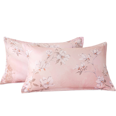 全棉磨毛枕套一对装纯棉加厚