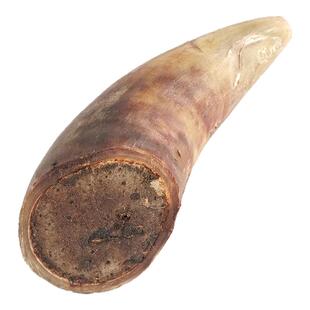 风干牛角狗狗零食含牛角髓营养补钙磨牙洁齿不伤肠胃耐啃咬磨牙棒