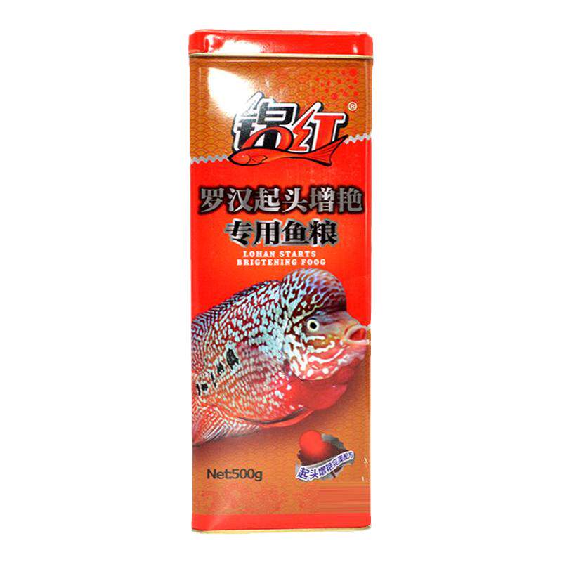 锦红血鹦鹉增红罗汉起头增色