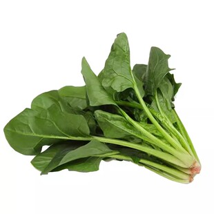 蔬菜种子大全四季小青菜白菜生菜莴笋芹菜萝卜小香葱秋天种菜种籽