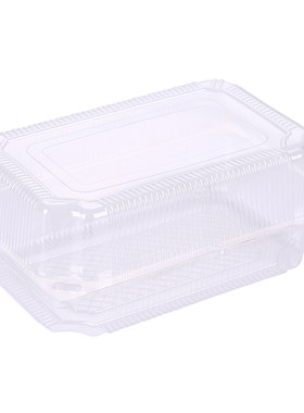 长方形带扣塑料包装榴莲樱桃盒