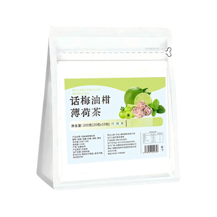 话梅油柑薄荷茶冷泡茶200g大餐解腻小红书同款官方旗舰店正品y1
