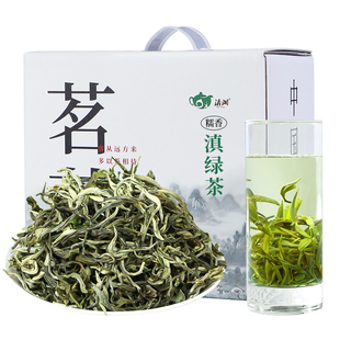 糯香绿茶2025新茶明前春茶云南糯米香滇绿茶罐罐茶叶浓香自己喝