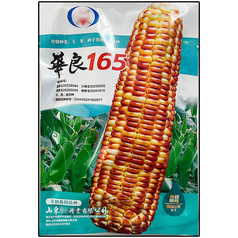 华良165焦黄色超甜超糯玉米种子