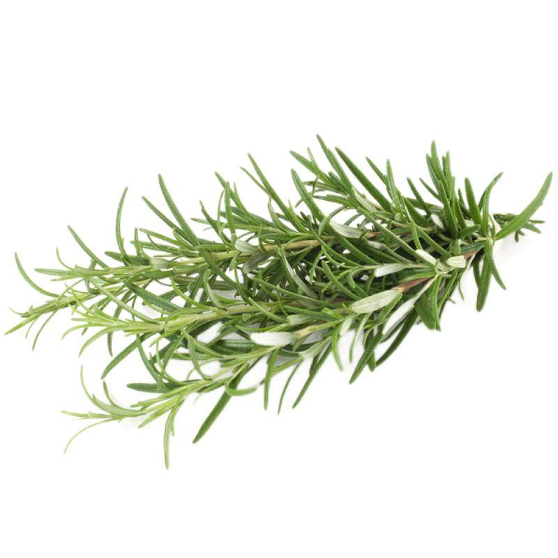 新鲜迷迭香250g 食用迷迭香西餐煎牛排烧烤香料调料 满5件包邮