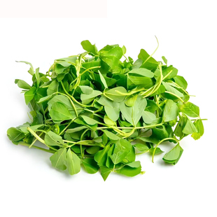 苜蓿菜新鲜现摘草头食用苜蓿芽头茬苜蓿草野生当季山野菜蔬菜包邮