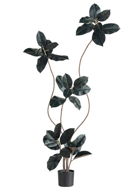 黑金刚橡皮树仿真绿植落地盆栽