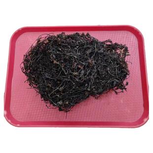 汕尾海连炮海藻干货自晒海洋礁石螺旋藻类野生海草干货100克
