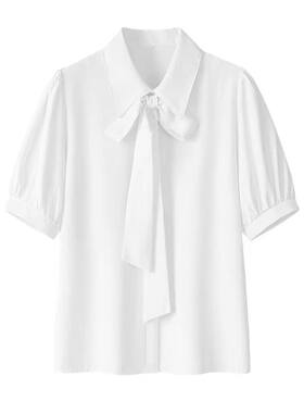 夏季白色短袖衬衫女高挡面试衬衣