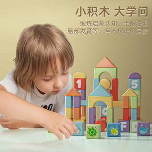 木玩世家木制拼装 大颗粒益智宝宝早教女男孩海洋童积木玩具1 2岁3