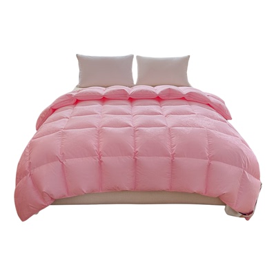 羽绒被95鹅绒被现充视频直播翻新