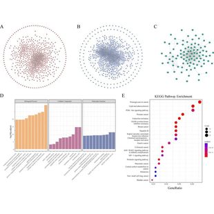 生信分析服务GEO TCGA数据挖掘生存预后分析单细胞转录组测序指导