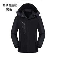 Черный обычный