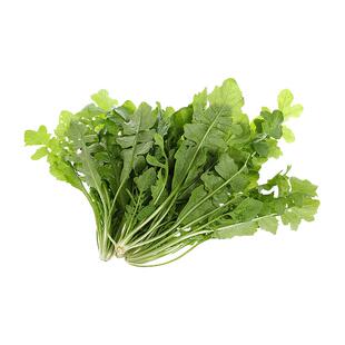荠菜种子四季播种阳台盆栽庭院栽种发芽率高容易种植高产高收种籽