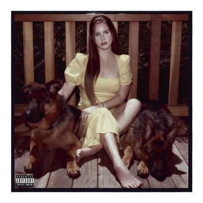 欧版进口 Lana Del Rey 蓝扶手Blue Banisters 打雷姐专辑 CD唱片