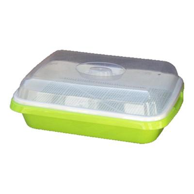 水培芽菜盆无土栽培芽菜盘