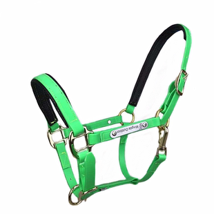 新牵马笼头马具全套配件PVC大小马矮马龙套调教龙头 精骑马术用品