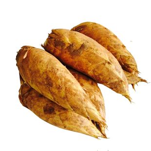 广东连州春笋新鲜现挖10斤毛笋黄泥拱去老根鲜嫩蔬菜竹笋5斤包邮