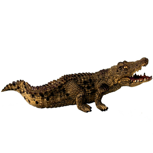 仿真野生鳄鱼动物玩具模型短吻鳄扬子鳄塑胶实心摆件儿童认知礼物