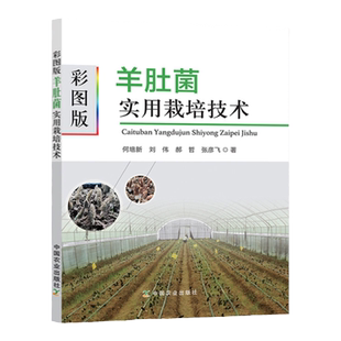 彩图版 羊肚菌实用栽培技术食用菌栽培种植羊肚菌栽培技术大棚栽培技术大全羊肚菌农作物栽培种植农作物高产病虫害防治书籍