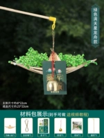 Лодка зеленого звездного дракона