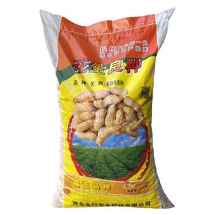 冀花6号 山东农家自种带壳花生种子抗病早熟白皮薄皮高产大田品种