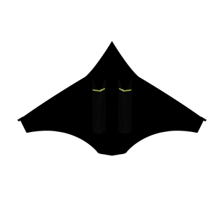 潍坊新款高档伞布轻体双筒隐形飞机风筝微风易飞儿童成人厂家直销