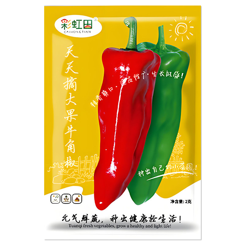 天天摘大果牛角椒种子
