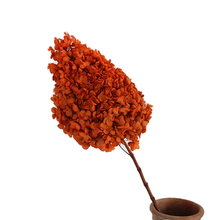 永生花高级感真花绣球花干花花束吊顶婚庆装饰花材拍照道具干燥花