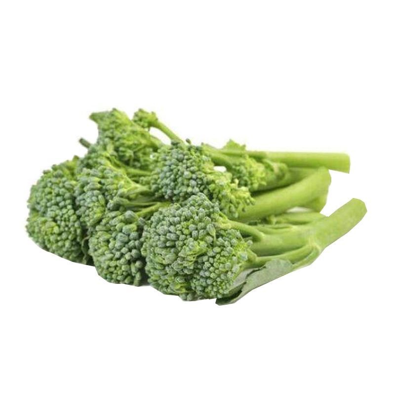 西兰苔种子多苔多茬杂交品种