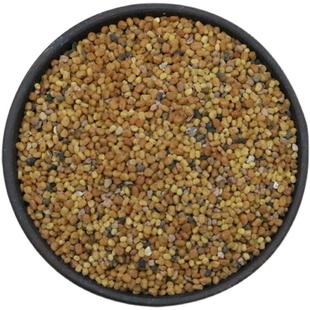 中草药穿心莲种籽中药保健穿心莲种子四季种植苗阳台盆栽特色蔬菜