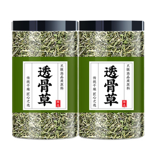 透骨草野生中药材正品泡水喝的功效与作用磨粉伸筋草和透骨草泡脚