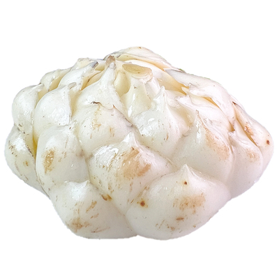 2025云南新鲜百合新鲜现挖粉糯