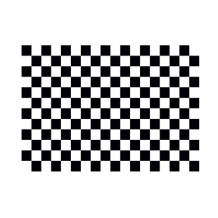 方块格子客厅卧室沙发榻榻米玄关阳台地毯进门门垫床边垫子可裁剪