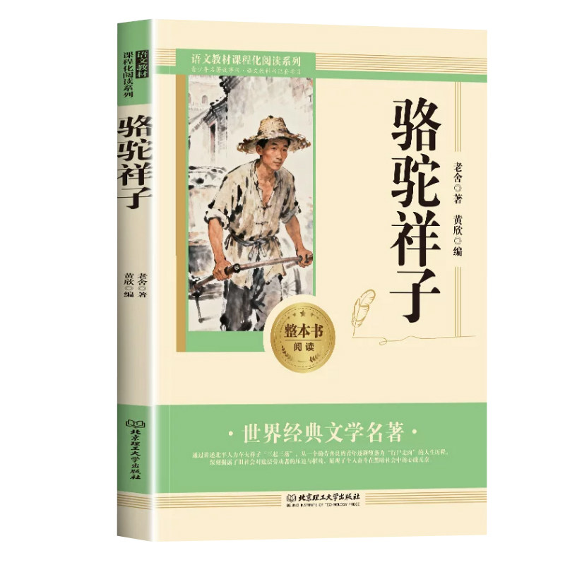 钢铁是怎样炼成的初中正版原著
