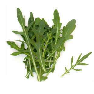 千牛优福 芝麻菜新鲜半斤-5斤 蔬菜沙拉食材 德国荠菜 西餐火箭菜