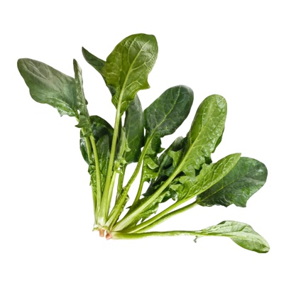 苏北农家菠菜红根露天叶菜顺