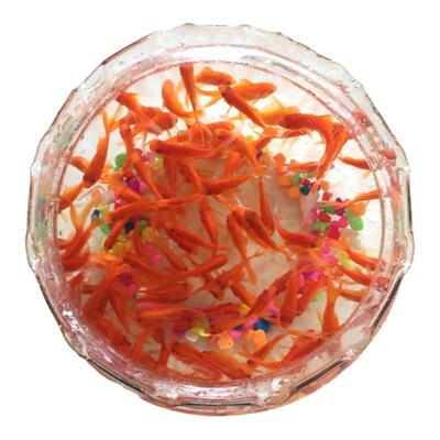 自养好养耐活鱼招财冷水鱼锦鲤鱼