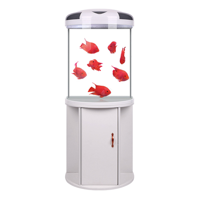 半圆形造景闽江金鱼缸