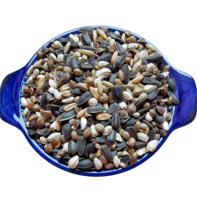 小太阳鹦鹉鸟粮饲料和尚专用粮食五合一混合粮蜡嘴牡丹鸟食种子粮