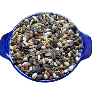 小太阳鹦鹉鸟粮饲料和尚专用粮食五合一混合粮蜡嘴牡丹鸟食种子粮