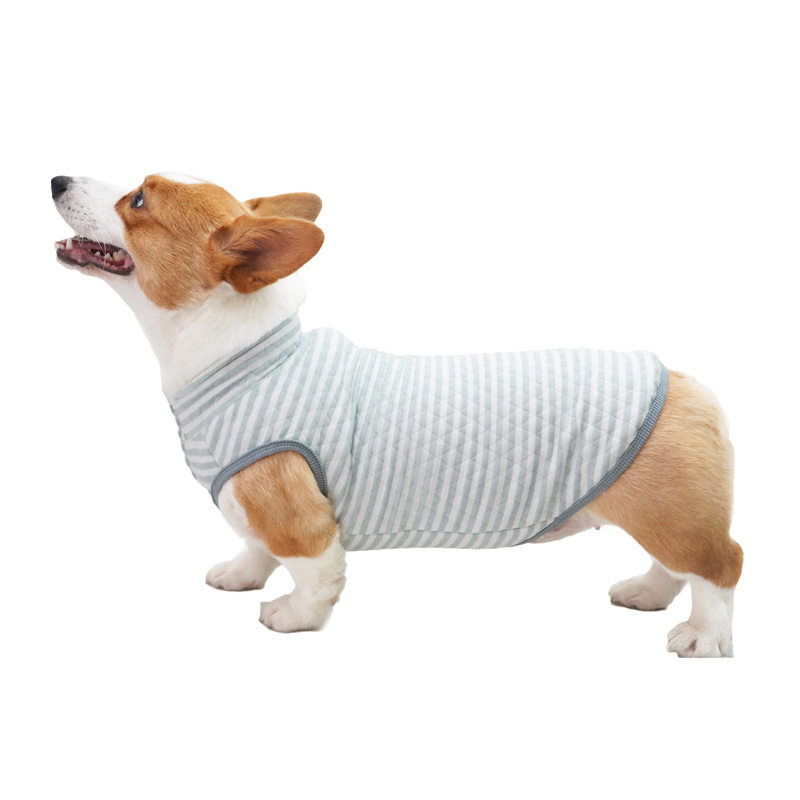 纯棉柯基狗狗衣服秋冬小型大型犬