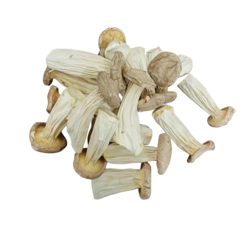 食用菌长寿菇保龄菇杏鲍菇500g