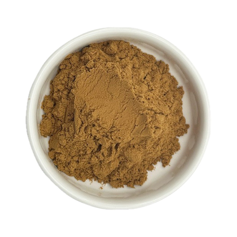 假马齿苋皂甙/苷50% 假马齿苋提取物 三萜类皂甙 食品级 原料厂家