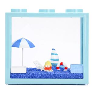 陌派小豆丁寄居蟹活体～寄居蟹新手饲养套餐积木盒萌宠儿童礼物