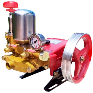 三缸高压柱塞喷雾机打药机农用杀虫机清洗机消毒喷药器园林绿化泵