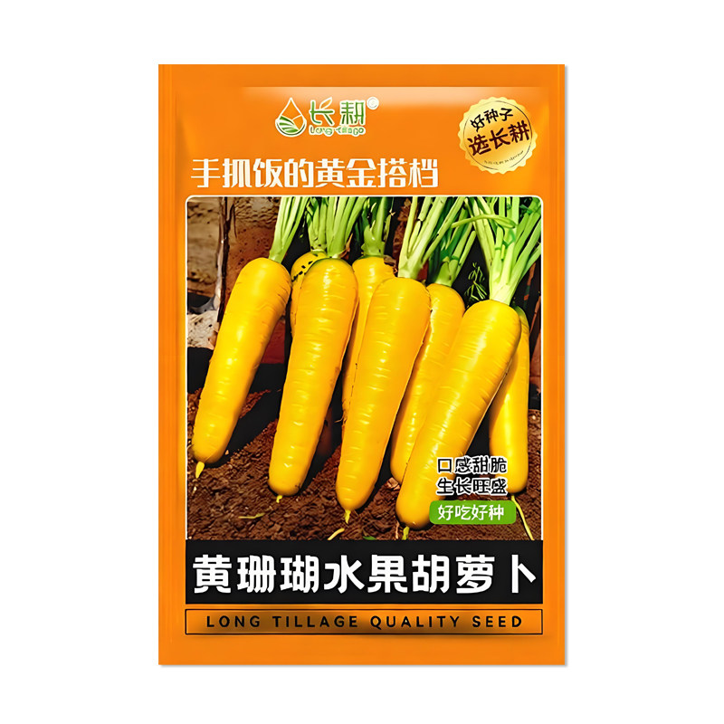 长耕黄珊瑚水果胡萝卜种子