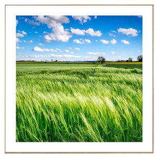 小清新房间装饰画风景挂画现代简约玄关柜客厅餐厅壁画卧室床头画