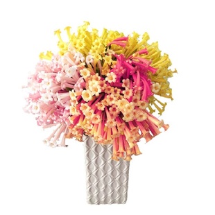 海蒂的花园垂筒花种球花卉趣味可爱绿植盆栽阳台花园秋冬开花植物