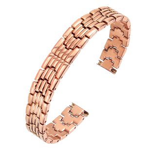 钢带表带女玫瑰金10mm适配罗拉小绿表 化石卡西欧阿玛尼dw飞亚达